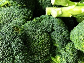 brokolia