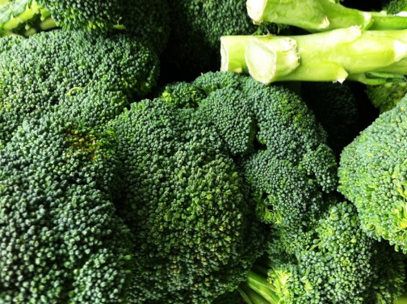 brokolia